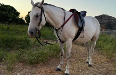 Casale Morillo - Foto 47