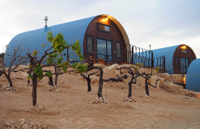 Carmey Avdat Farm - Foto 43