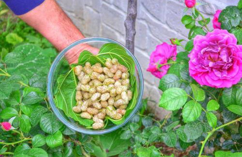 Residence Rendez Vous - Foto 45