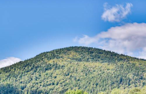 Colebrook Retreat Near ATV and Snowmobiling Trails! - Foto 29