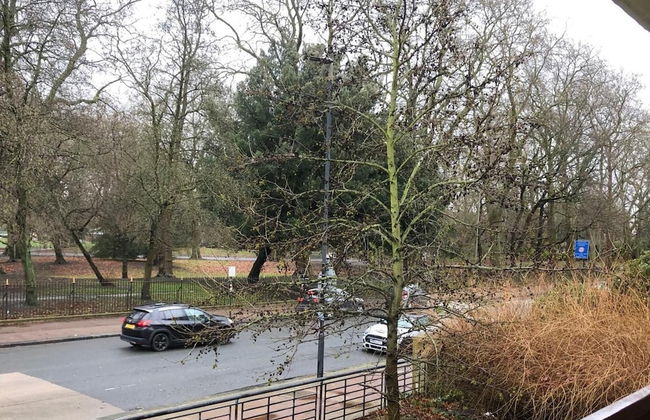 1 Bed-park View-balcony-wifi-pet Friendly - Foto 14