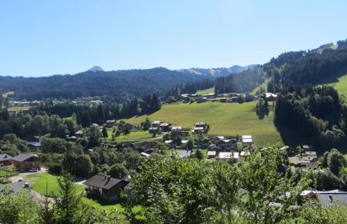 Charmant appart 1 chambre avec Wi-Fi et parking aux Gets - FR-1-671-227 - Foto 5