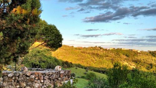 Nocini di Maremma - Photo 3, Garden view