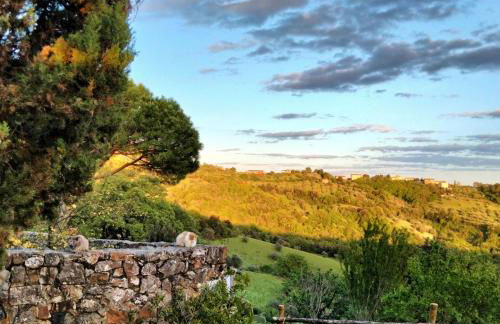 Nocini di Maremma - Photo 3