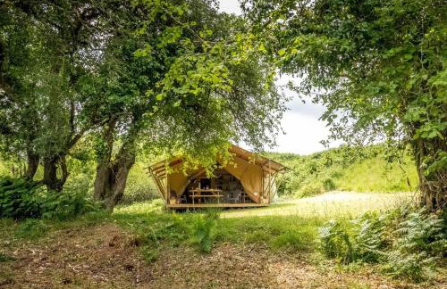 Tent 2 Tangleweood - Ukc4717 - Foto 23