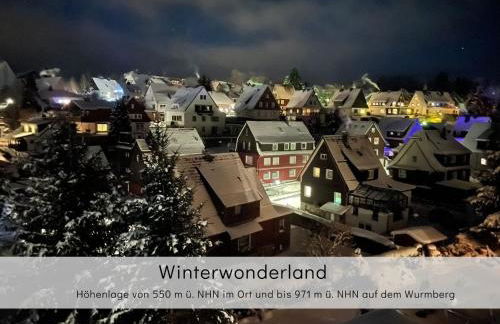 LaLeLou Braunlage, perfekt für Familien, zentral mit Garten 120qm, inkl Wäschepaket und WLAN, Boxspringbett, 6 Personen - Foto 59