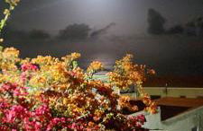 VV Las Vistas de El Pinar - Foto 34