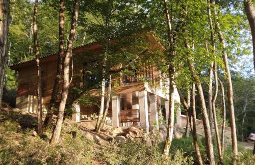 chalet sur pilotis en perigord - Foto 5