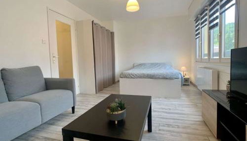 Charmant studio centre ville de Mutzig - Photo 4