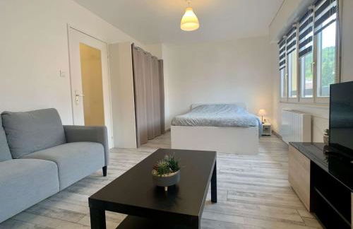 Charmant studio centre ville de Mutzig - Foto 4