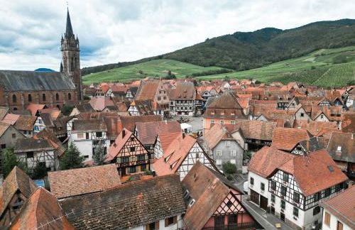 Appartement cosy sur la route des vins d'Alsace - Foto 51