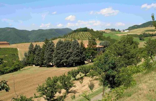 Agriturismo IL CERRO - Photo 47