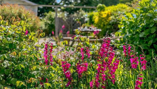 3 Bed in Cambrose oc-h29392 - Foto 3, Other