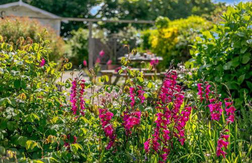 3 Bed in Cambrose oc-h29392 - Photo 3