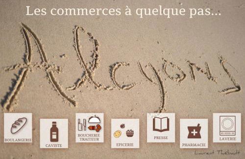 Résidence Les Alcyons - Foto 13