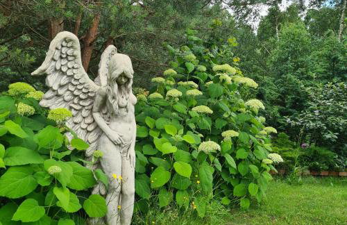 Sowi Dworek - Foto 20