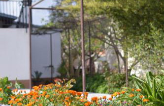 Apartment Ivy - Foto 36