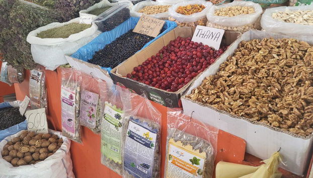 Tour Gastronômico de Comida Tradicional Albanesa - Foto 2