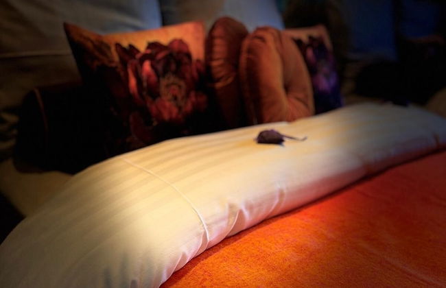 Sleephotels Alsterroom - Photo 50