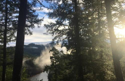 Avenue of the Giants River View Home (#1) - Foto 46