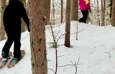 Long Lake Lookout, Dog Friendly - Photo 29