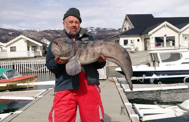 Arctic Seasport - Foto 61