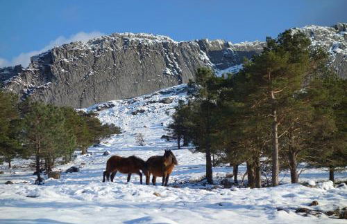 La Casina de Luarca - Foto 32