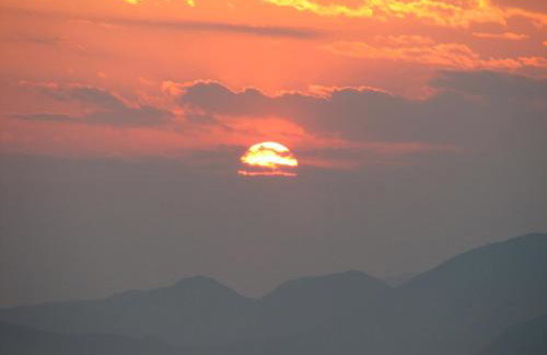 Hydra Erato - Foto 41