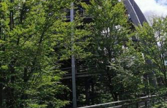 Apartment Bayerischer Wald auf 800m Höhe-Willkommen by Interhome - Foto 12