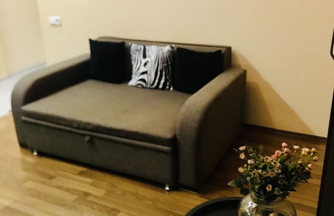 My flat near METEKHI - Foto 1