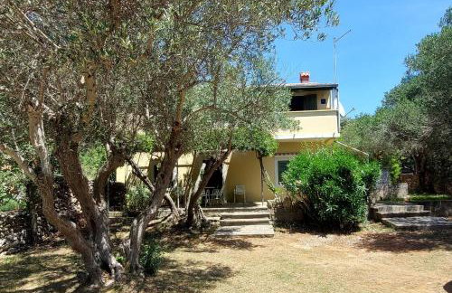 Apartments by the sea Cove Pogana, Cres - 21464 - Foto 1