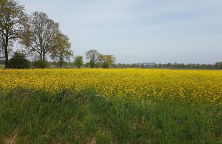 Ferienwohnung Kerstin in Strackholt - Foto 22