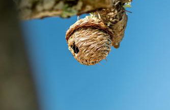 Portugals Infinity Eco Suite Resort - Foto 19