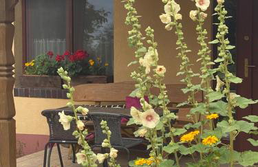 Agroturystyka Pod Podkową - Photo 29