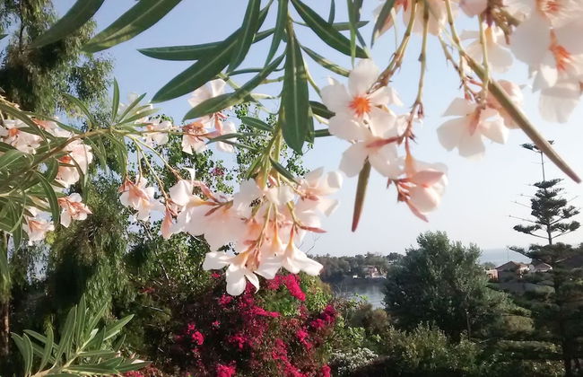 Roof garden Seaside lux Home - Foto 43