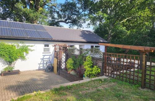 Little Apples - Foto 31