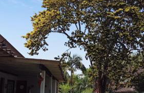 Suites do Reino Penedo RJ - Foto 10