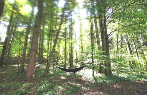 Tiny House mit eigener Sauna am Waldrand in der Fränkischen Schweiz - Foto 58