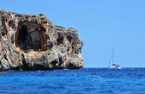 Finca Ceguer MHM - Photo 69