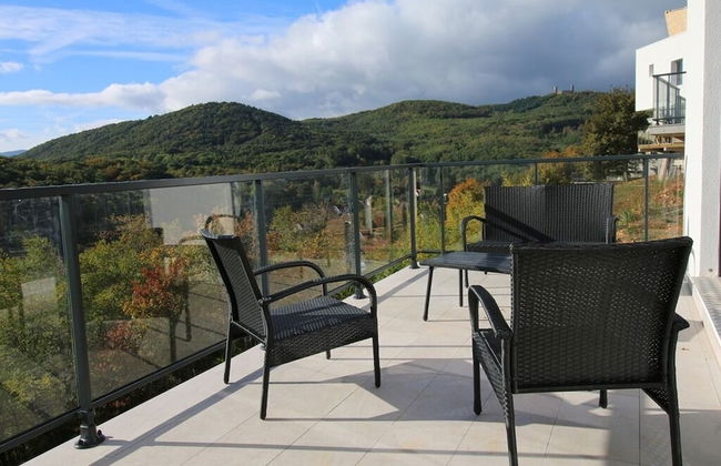 Terrasses D'alsace - Foto 41