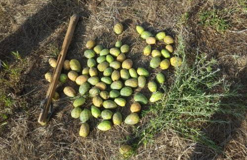 Casa La Cañada - Foto 39