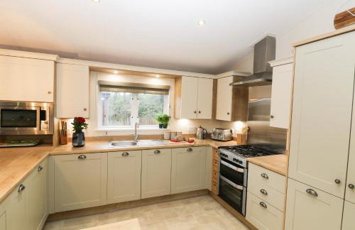 Huckleberry - Foto 10