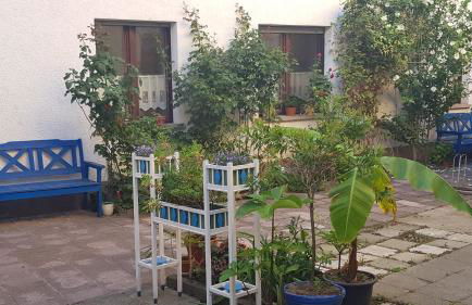 Fewo "Mohnblume" am Stadtpark - Foto 6