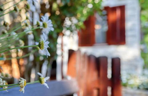 Holiday Home Giardino Marino - Foto 66