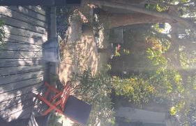 Petit coin de paradis - Foto 28