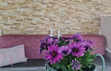 Kikas Stone House - Photo 19