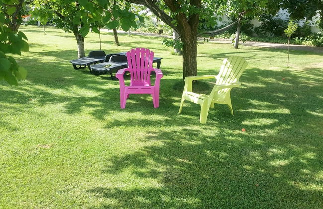 Galeria In The Garden - Photo 50