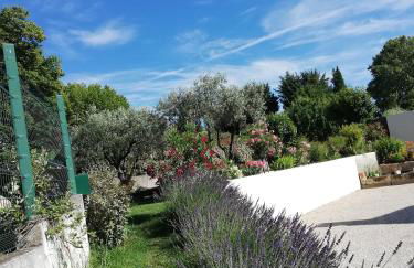 Sophie et Jamiel - Foto 8