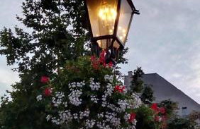 Mickey Mouse Supilova 24 - Foto 39