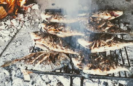 Apartman Taja - Foto 41